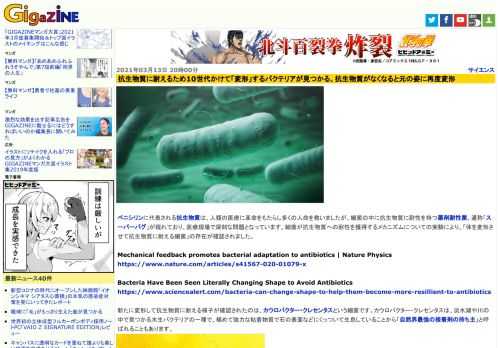 ペニシリンに代表される抗生物質は、人類の医療に革命をもたらし多くの人命を救いましたが、細菌の中に抗生物質に耐性を持つ薬剤耐性菌、通称「スーパーバグ」が現れており、医療現場で深刻な問題となっています。細菌が抗生物質への耐性を獲得するメカニズムについての実験により、「体を変形させて抗生物質に耐える細菌」の存在が確認されました。