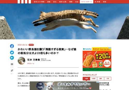 猫の殺処分は、犬よりはるかに多いという事実を知っていますか？