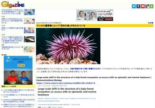 生態系は絶妙なバランスで成り立っており、1種の絶滅が多くの種に影響を与えます。アメリカのカリフォルニア州北部では、ヒトデが数を減らした事によって、広範囲に及ぶ「昆布の森」が失われる事態が発生しています。