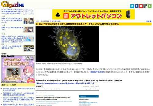 by Max Planck Institute for Marine Microbiology, S. Ahmerkamp