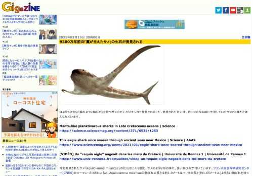 体よりも大きな「翼のような胸びれ」を持つサメの化石がメキシコで発見されました。発見された化石は、約9300万年前に生息していたサメの1種だと考えられています。