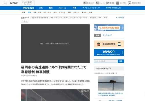 【NHK】22日午前、福岡市の福岡都市高速道路で、ネコ1匹が見つかりました。ネコはその後無事に捕獲されましたが、この影響で高速道路…