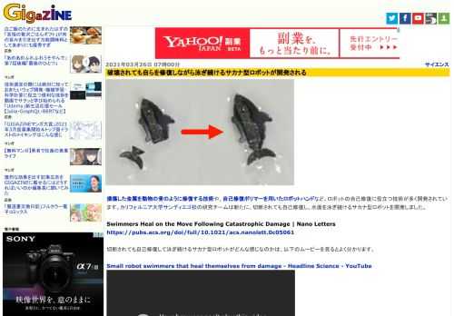 損傷した金属を動物の骨のように修復する技術や、自己修復ポリマーを用いたロボットハンドなど、ロボットの自己修復に役立つ技術が多く開発されています。カリフォルニア大学サンディエゴ校の研究チームは新たに、切断されても自己修復し、水面を泳ぎ続けるサカナ型ロボットを開発しました。