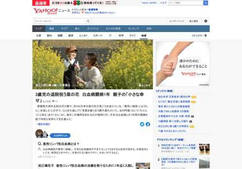 愛媛県大洲市の河川敷に咲く菜の花を楽しむ人の中で、ひときわ楽しげに写真を撮り合う親子連れがいた。白血病で1年間闘病した3歳の子を満開の花が出迎え、母親は「言葉で表せないほどうれしい。胸がいっぱいです」。