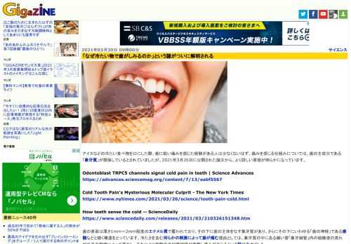 アイスなどの冷たい食べ物を口にした際、歯に鋭い痛みを感じた経験がある人は少なくないはず。痛みを感じる仕組みについては、歯の主成分である「象牙質」が関係しているとされていましたが、2021年3月26日に公開された論文から、より詳しい原理が明らかになっています。