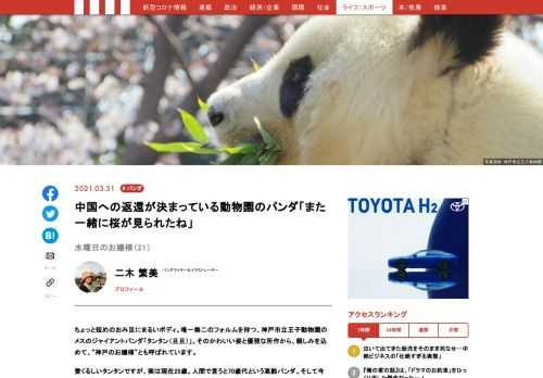 神戸市立王子動物園のメスのジャイアントパンダ「タンタン（旦旦）」。そのかわいい姿と優雅な所作から、親しみを込めて、“神戸のお嬢様”とも呼ばれています。愛くるしいタンタンですが、今年、中国への返還が決まっています。神戸で最後の時間を過ごすお嬢様の様子を、毎週水曜日にお届け！