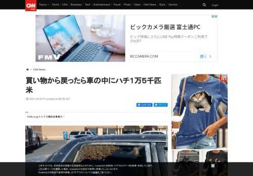 米ニューメキシコ州で、スーパーマーケットの駐車場に車を止めて買い物に出かけた男性が戻ったところ、自分の車が何千匹ものミツバチでいっぱいになっているのを発見した。 - (1/2)