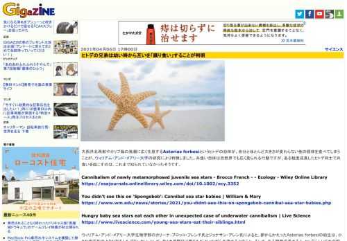 大西洋北西部やカリブ海の浅瀬に広く生息するAsterias forbesiというヒトデの幼体が、自分とほとんど大きさが変わらない他の個体を食べてしまうことが、ウィリアム・アンド・メアリー大学の研究により判明しました。共食い自体は自然界でも広く見られる行動ですが、ある程度成長したヒトデ同士で共食いを起こすのは、これまで知られていなかったそうです。