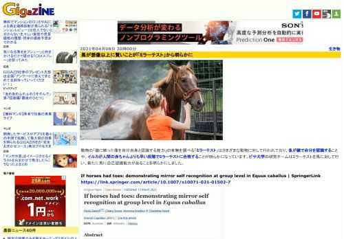 動物の「鏡に映った像を自分自身と認識する能力」の有無を調べる「ミラーテスト」はさまざまな動物に対して行われており、魚が鏡で自分を認識することや、イルカが人間の赤ちゃんよりも早い段階でミラーテストに合格することが明らかになっています。ピサ大学の研究チームはミラーテストを馬に対して行い、新たに馬に自己認識能力があることを明らかにしました。