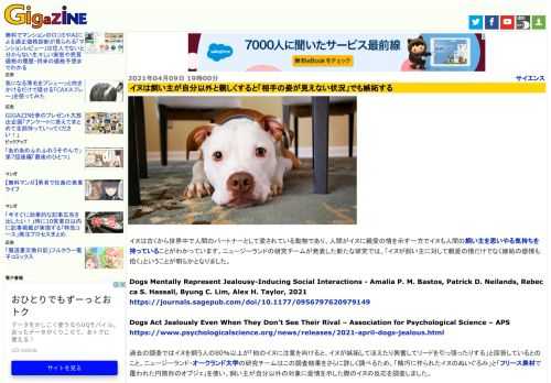 イヌは古くから世界中で人間のパートナーとして愛されている動物であり、人間がイヌに親愛の情を示す一方でイヌも人間の飼い主を思いやる気持ちを持っていることがわかっています。ニュージーランドの研究チームが発表した新たな研究では、「イヌが飼い主に対して親愛の情だけでなく嫉妬の感情も抱く」ということが明らかとなりました。