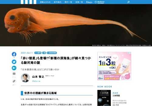 いま、日本の駿河湾が世界の注目を集めている。全長が1mを超す巨大な深海魚「ヨコヅナイワシ」が発見された顛末については、以前の記事〈「悪魔のサメ」をしのぐ覇者！「新種」の巨大深海魚が見つかった！〉でご紹介したとおりだ。じつは、ヨコヅナイワシのほかにも、駿河湾では近年、新種の深海魚が相次いで見つかっているのをご存じだろうか？  