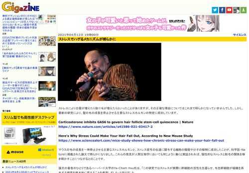 ストレスにより白髪が増えたり抜け毛が増えたりといったことがありますが、その正確な理由についてはこれまで明らかになっていませんでした。しかし、最新の研究により、髪の毛の成長を停止させる主要なストレスホルモンの特定に成功しています。