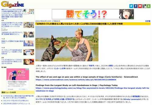 人間は一般的に左右どちらかの手が器用な動きや運動能力に優れた「利き手」であり、2020年の研究によると左利きの人間は約10.6％ほどだと報告されています。イギリス・リンカーン大学の研究チームが1万8000頭近くのイヌを対象に調査したところ、「イヌは人間よりも左利きの割合が大きい」ことが判明しました。