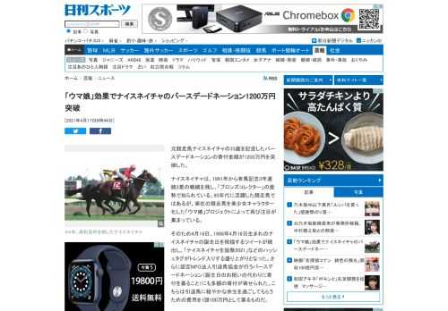 元競走馬ナイスネイチャの33歳を記念したバースデードネーションの寄付金額が1200万円を突破した。ナイスネイチャは、1991年から有馬記念3年連続3着の戦績を… - 日刊スポーツ新聞社のニュースサイト、ニッカンスポーツ・コム（nikkansports.com）。