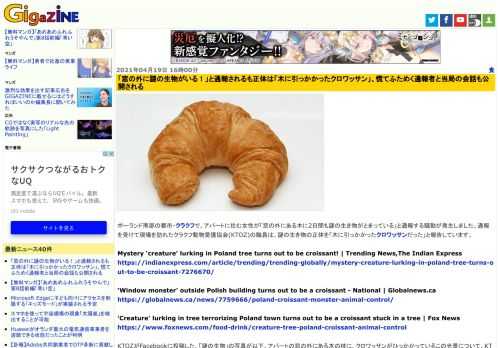 ポーランド南部の都市・クラクフで、アパートに住む女性が「窓の外にある木に2日間も謎の生き物がとまっている」と通報する騒動が発生しました。通報を受けて現場を訪れたクラクフ動物愛護協会(KTOZ)の職員は、謎の生き物の正体を「木に引っかかったクロワッサンだった」と報告しています。