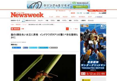 最新記事ニューズウィーク日本版オフィシャルサイトはNewsweekの米国版と国際版からの翻訳記事と日本オリジナル記事編集されるニューズウィーク日本版本誌の内容とサイトオリジナルのコンテンツを毎週お届けしています。