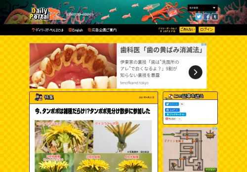 春の訪れを知らせるタンポポ。カントウタンポポをはじめとした在来種と外来種のセイヨウタンポポが混生しているのはわりと知られているが......なんと、今は雑種ががんがん勢力を増して複雑な事になっている。