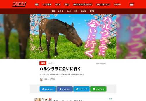 かつて日本中に旋風を巻き起こした『未勝の名馬』の現在を追いました