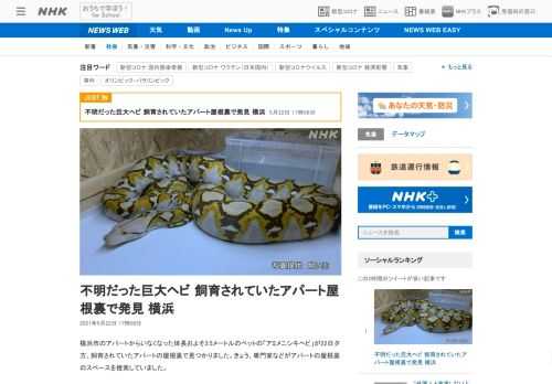 【NHK】横浜市のアパートからいなくなった体長およそ3.5メートルのペットの「アミメニシキヘビ」が22日夕方、飼育されていたアパー…