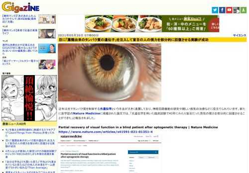 近年は光でタンパク質を制御する光遺伝学という手法が大きく進展しており、神経回路機能の研究や難しい病気の治療などに役立てられています。新たに医学誌のNature Medicineに掲載された論文では、「光遺伝学を用いた臨床試験で40年にわたり盲目だった男性の視力を部分的に回復させることができた」と報告されました。