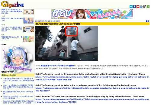 かつて風船を多数つけたゴンドラで旅立った冒険家がいたように、ヘリウムなど軽い気体を詰めた風船で体を浮かすというのは十分可能です。ヘリウム入り風船で実際に「犬」を飛ばしたインドのYouTuberが、動物虐待の容疑で逮捕されました。