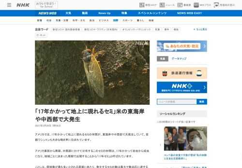【NHK】アメリカでは、17年かかって地上に現れるセミの仲間が、東海岸や中西部で大発生していて、首都ワシントンも大きな鳴き声に包ま…