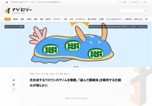 ウミウシは盗んだ葉緑体に光合成を行わせる秘密の方法がある 動物であるウミウシが植物の葉緑体を持っているという奇妙な現象（盗葉緑体現象）は1965年に日本人の川口四郎氏によってはじめて報告されました。