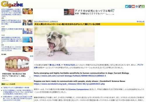 イヌは進化の過程で「愛くるしい外見」や「子犬のような目」といったヒトに可愛がられるような特性を獲得してきたと考えれられています。新たに、アリゾナ大学の研究チームによって「イヌは学習せずとも、ヒトと社会的なコミュニケーションをとれる」ということが明らかになりました。