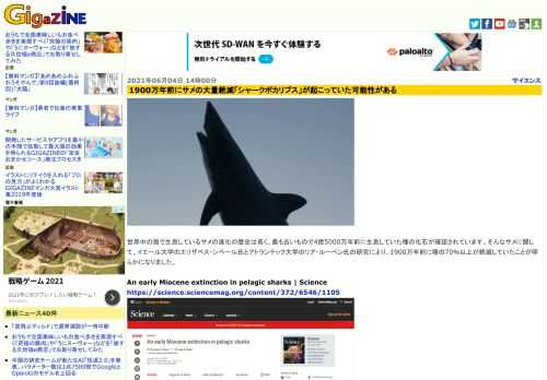 世界中の海で生息しているサメの進化の歴史は長く、最も古いもので4億5000万年前に生息していた種の化石が確認されています。そんなサメに関して、イエール大学のエリザベス・シベール氏とアトランテック大学のリア・ルーベン氏の研究により、1900万年前に種の70％以上が絶滅していたことが明らかになりました。