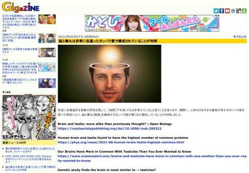 性欲に忠実過ぎる言動の男性を指して、「股間(下半身)でものを考えている」と言うことがあります。実際に、人体のさまざまな器官が有するタンパク質を調べた研究により、脳と睾丸(精巣)を構成するタンパク質が驚くほど類似していることが判明しました。