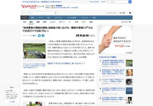 　「地球上で最悪の侵略的植物」とも呼ばれ、兵庫県洲本市のため池で確認された特定外来生物の水草ナガエツルノゲイトウが、周囲の畑などに広がっているのが見つかった。農地での確認は県内初といい、駆除などで支