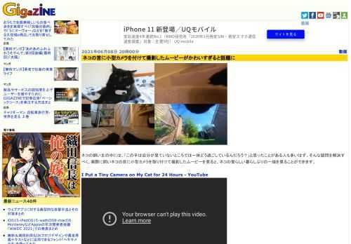 ネコの飼い主の中には、「この子は自分が見ていないところでは一体どう過ごしているんだろう？」と思ったことがある人も多いはず。そんな疑問を解決すべく、実際に飼いネコの首に小型カメラを取り付けて撮影したムービーを見ると、ネコの愛らしい暮らしぶりの一端を見ることができます。