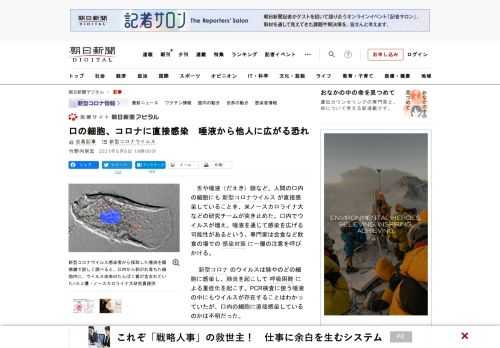 　舌や唾液（だえき）腺など、人間の口内の細胞にも新型コロナウイルスが直接感染していることを、米ノースカロライナ大などの研究チームが突き止めた。口内でウイルスが増え、唾液を通じて感染を広げる可能性がある…