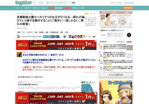 是非この目で見たい