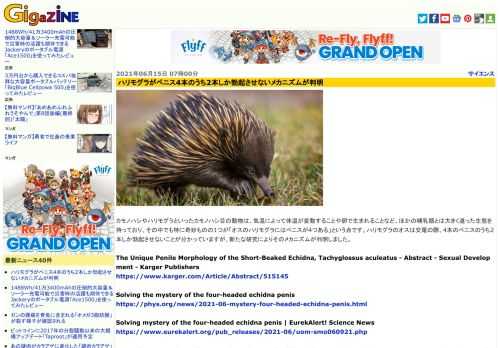 カモノハシやハリモグラといったカモノハシ目の動物は、気温によって体温が変動することや卵で生まれることなど、ほかの哺乳類とは大きく違った生態を持っており、その中でも特に奇妙ものの1つが「オスのハリモグラにはペニスが4つある」という点です。ハリモグラのオスは交尾の際、4本のペニスのうち2本しか勃起させないことが分かっていますが、新たな研究によりそのメカニズムが判明しました。