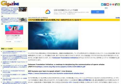 マッコウクジラは人間の6倍という大きさの脳を有し、複雑な社会構造を持ち、「コーダ」と呼ばれるクリック音を使ったコミュニケーションと社会活動に多くの時間を費やしています。コーダは最短で10秒、長くて30分以上続くといわれていますが、クリック音を通してクジラたちがどのようなやり取りを行っているのかは、まだ謎に包まれています。そこでCetacean Translation Initiative(CETI)というプロジェクトでは、科学者によって「コーダを解読する」試みが行われています。