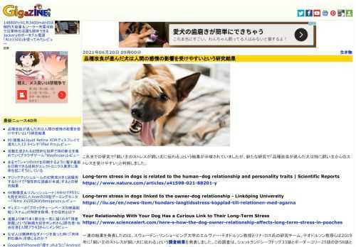 これまでの研究で「飼い主のストレスが飼い犬に伝わる」という結果が示唆されていましたが、新たな研究で「品種改良が進んだ犬は特に飼い主からのストレスを受けやすい」と判明しました。