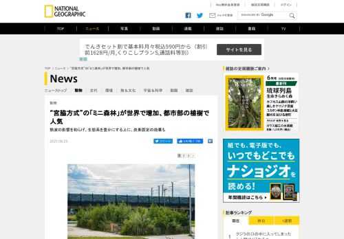 日本の植物学者の宮脇昭氏が推進してきた植樹方法が、世界の都市で取り入れられている。生態系を豊かにし、炭素を固定する効果もある小さな森に期待が集まる。