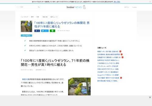 神奈川県伊勢原市高森の87歳男性が71年前に植えた「リュウゼツラン」。50年から100年に1度咲くといわれるが、このほど花開き、話題になっている。男性は「人生の終末にいい花を見せてもらった」と陽気に笑った