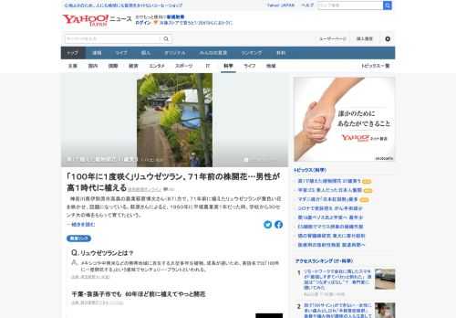 神奈川県伊勢原市で、87歳の男性が71年前に植えたリュウゼツランが黄色い花を咲かせた。農業高校1年生のとき、学校から株をもらって育てたといい、男性は「人生の終末にいい花を見せてもらった」と陽気に笑っていた。