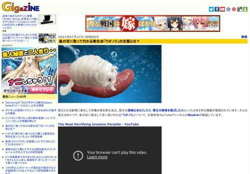 宿主となる動物に寄生して栄養を得る寄生虫は、宿主の恐怖心をなくしたり、宿主の寿命を延ばしたりといったさまざまな種類が確認されています。そんな寄生虫の1つで、魚の舌に寄生して舌に成り代わる「ウオノエ」について、生物学系YouTubeチャンネルのBioArkが解説しています。