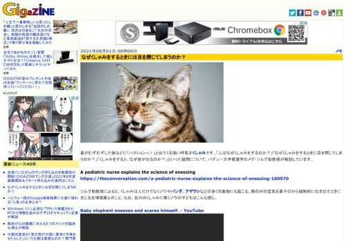 鼻がむずむずした後などに「ハクションっ！」と出てくる強い呼気がくしゃみです。「人はなぜくしゃみをするのか？」「なぜくしゃみをするときに目を閉じてしまうのか？」「くしゃみをすると、なぜ音が出るのか？」といった疑問について、パデュー大学看護学のメグ・ソルグ助教授が解説しています。