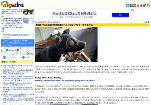 道端に生えている野草のうち、穂が実るイネ科の植物には「ノギ」と呼ばれるトゲ状の突起を生やすものがあります。人間にとっては服にひっつく程度でほぼ無害ですが、散歩中の犬にとっては足や目、耳に刺さってしまうことがあり、大変危険です。海外ではFoxtail(キツネの尻尾)と呼ばれ恐れられるノギ対策として、エンジニアのアモス・ダドリーさんが自分の愛犬にぴったりの完全防護マスクを3Dプリンターで作った工程を公開しています。