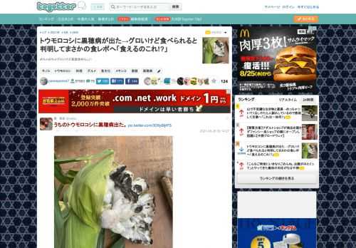 めちゃめちゃグロいけど高級食材らしい