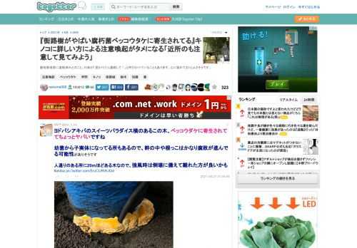 敷地管理者に連絡済みとのこと。行政が「見かけたら連絡して！」と呼びかけていることもあります。心に留めておくとよさそうです。