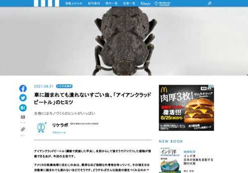 アイアンクラッドビートル（鋼鉄で武装した甲虫）。名前からして強そうでゴツゴツした感触が想像できる虫が、今回の主役です。アメリカの乾燥地帯に住むこの虫は、異常なほど強靭な外骨格を持っていて、その頑丈さは自動車に踏まれても潰れないほどだそうです。どうすればそんな強度の殻をつくれるのか？　組成は何なのか？　構造はどうなっているのか？　その秘密を東京農工大の新垣篤史先生に聞きました。