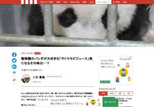 「現代ビジネス」は、第一線で活躍するビジネスパーソン、マネジメント層に向けて、プロフェッショナルの分析に基づいた記事を届ける新創刊メディアです。政治、経済からライフスタイルまで、ネットの特性を最大限にいかした新しい時代のジャーナリズムの可能性を追及します。