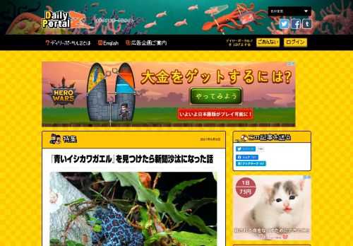 沖縄には俗に「日本一美しいカエル」と称される『イシカワガエル』がいる。彼らの中にはさらなる「レア枠」が存在する。ごく稀に全身が鮮やかなブルーに染まる『青いイシカワガエル』だ。