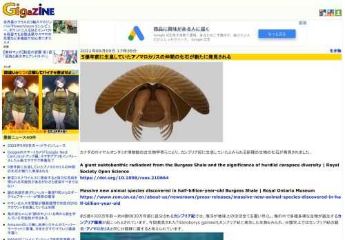 カナダのロイヤルオンタリオ博物館の古生物学者らにより、カンブリア紀に生息していたとみられる新種の生物の化石が発見されました。