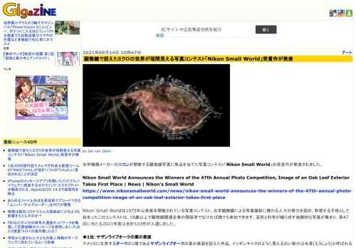 光学機器メーカーのニコンが開催する顕微鏡写真に焦点を当てた写真コンテスト「Nikon Small World」の受賞作が発表されました。